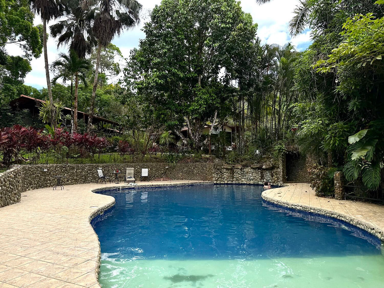 Des enfants sauvent la piscine de la forêt tropicale