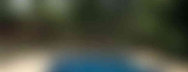 Piscina de niños que salvan la selva tropical