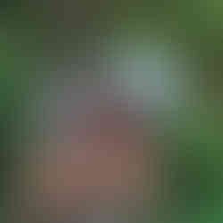 Parc d'aventures 10 en 1