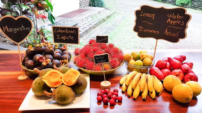 Finca Luna Nueva Lodge