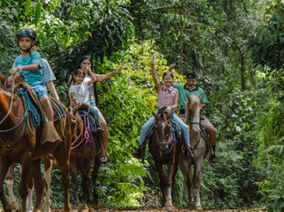 Horseback Riding Tour in Manuel Antonio, Costa Rica.