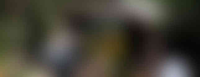 Niños salvando la selva tropical 