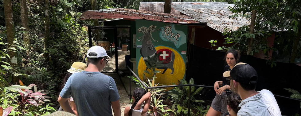 Niños salvando la selva tropical