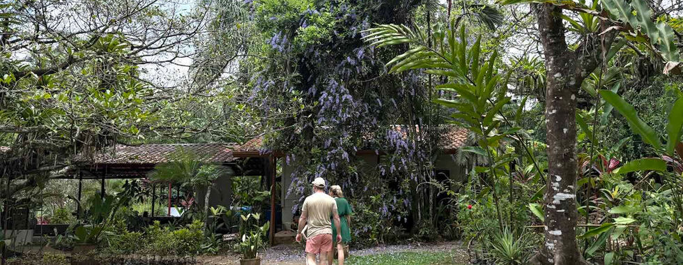 Propiedad de Kids Saving the Rainforest
