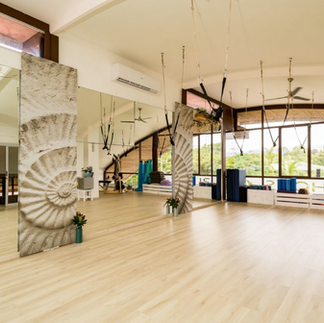 Holis Wellness center
