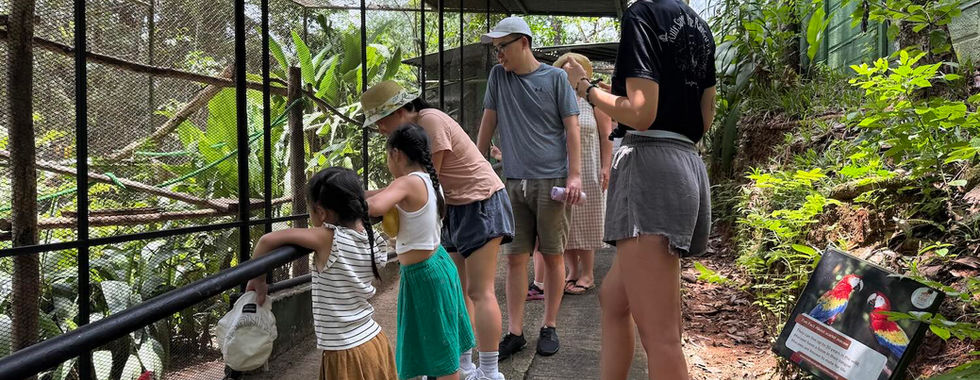 Niños salvando la selva tropical localización guacamayos