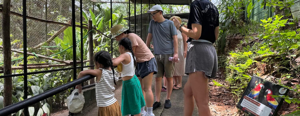 Niños salvando la selva tropical localización guacamayos