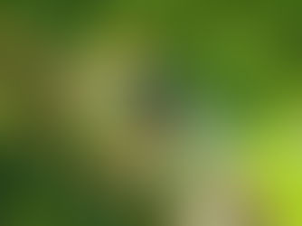 Datos importantes sobre Costa Rica que debes saber antes de visitarnos