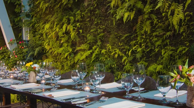 Restaurante Silvestre