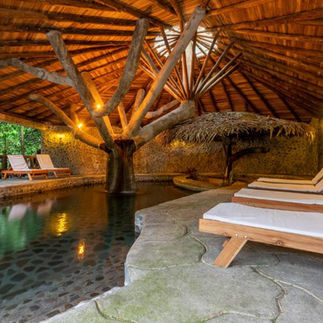 Margot Ranch