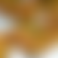 Cooking Class Manuel Antonio