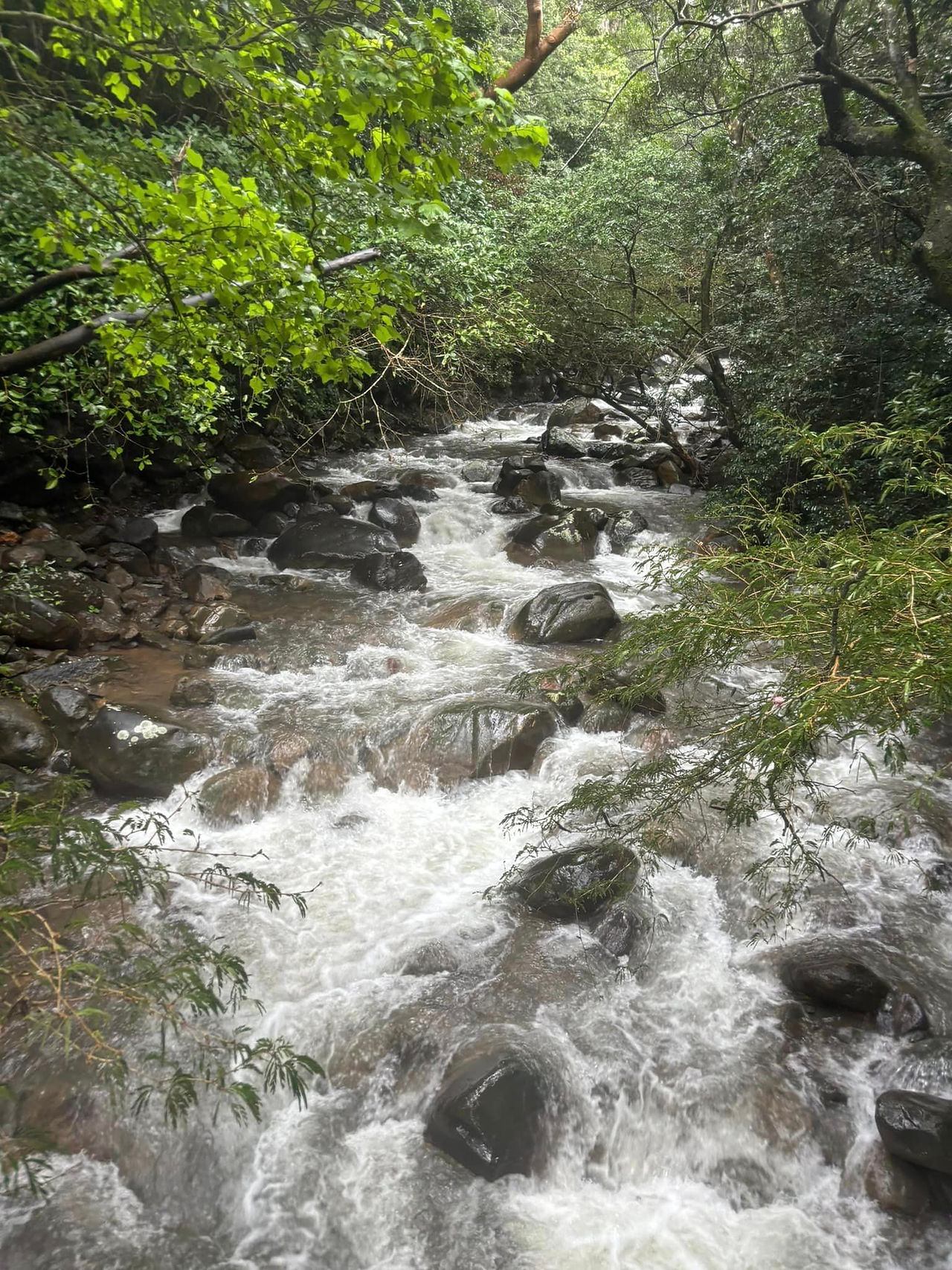 Rincón de la Vieja National Park