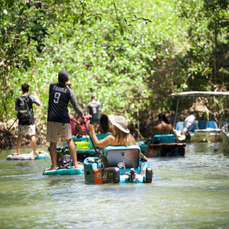 Recorrido en kayak por los manglares de Quepos