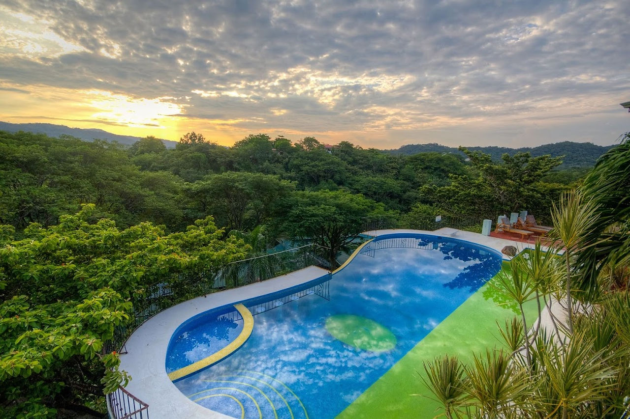 Jungle's Edge