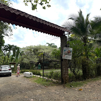 Localización de "Niños salvando la selva tropical"