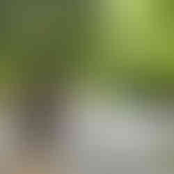 Visite de la cascade de Pilas Blancas en VTT