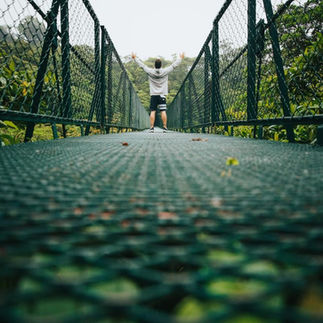 puentes colgantes de Monteverde