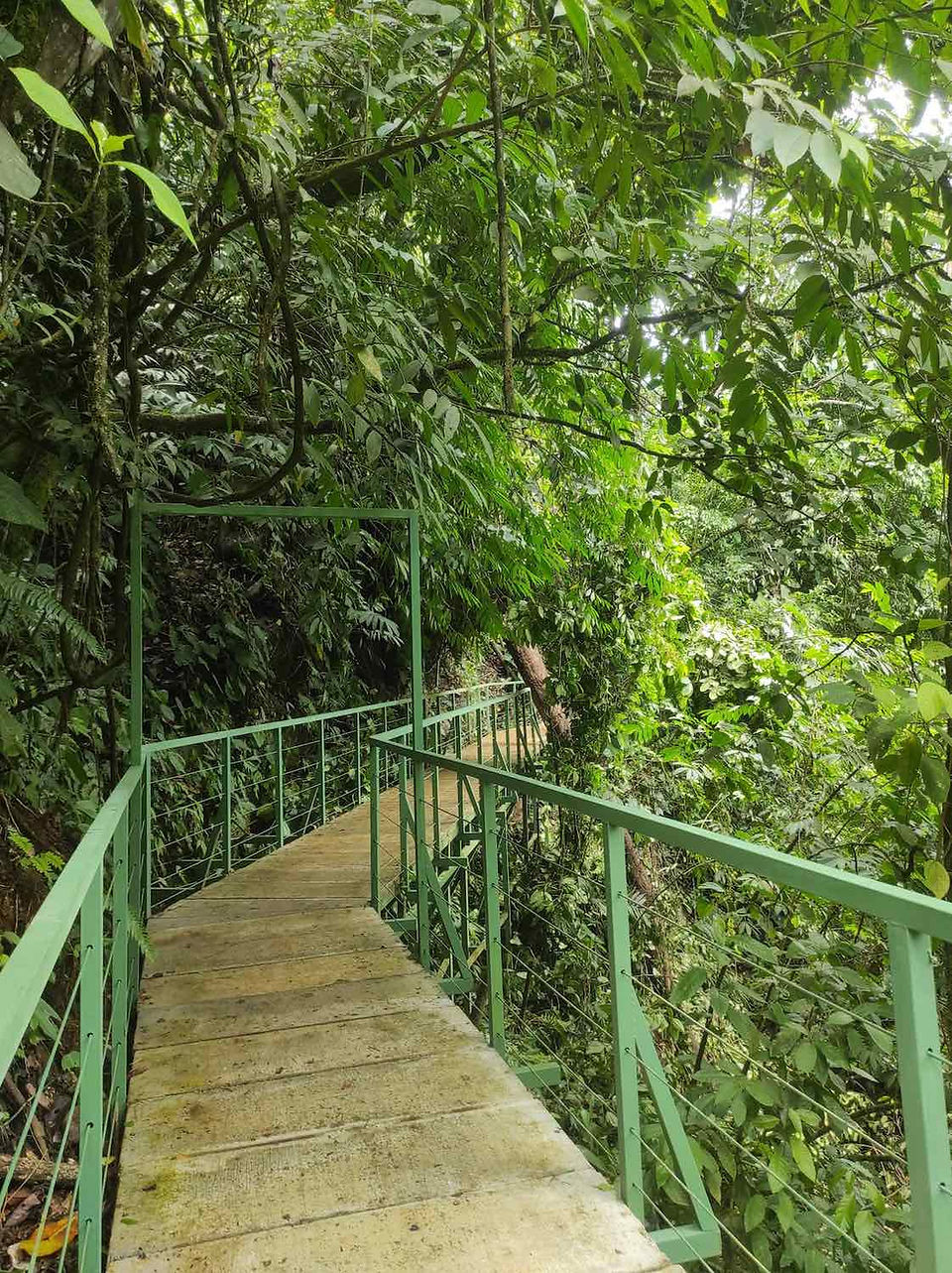 Nauyaca Waterfalls Main Office