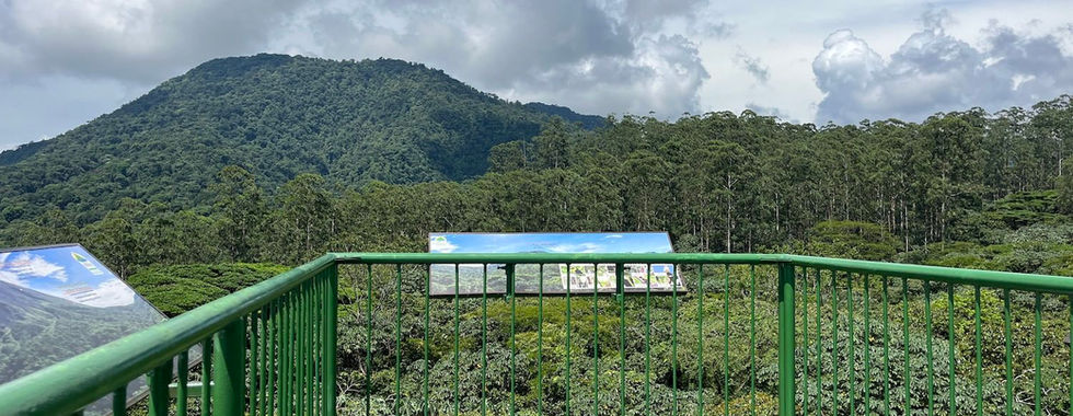 Observatorio del Parque Nacional Volcán Arenal Lodge la torre del nido