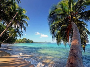 Snorkeling in Cahuita National Park: everything you need to know.