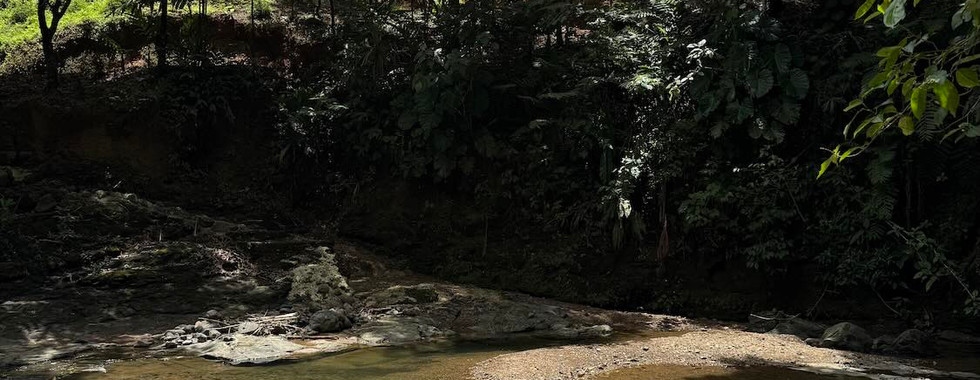 Los Campesinos Ecolodge