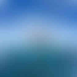 Inshore Fishing & Spearfishing