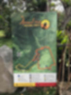 Arenal 1968 trail : map of bosque 1968 and colada 1968