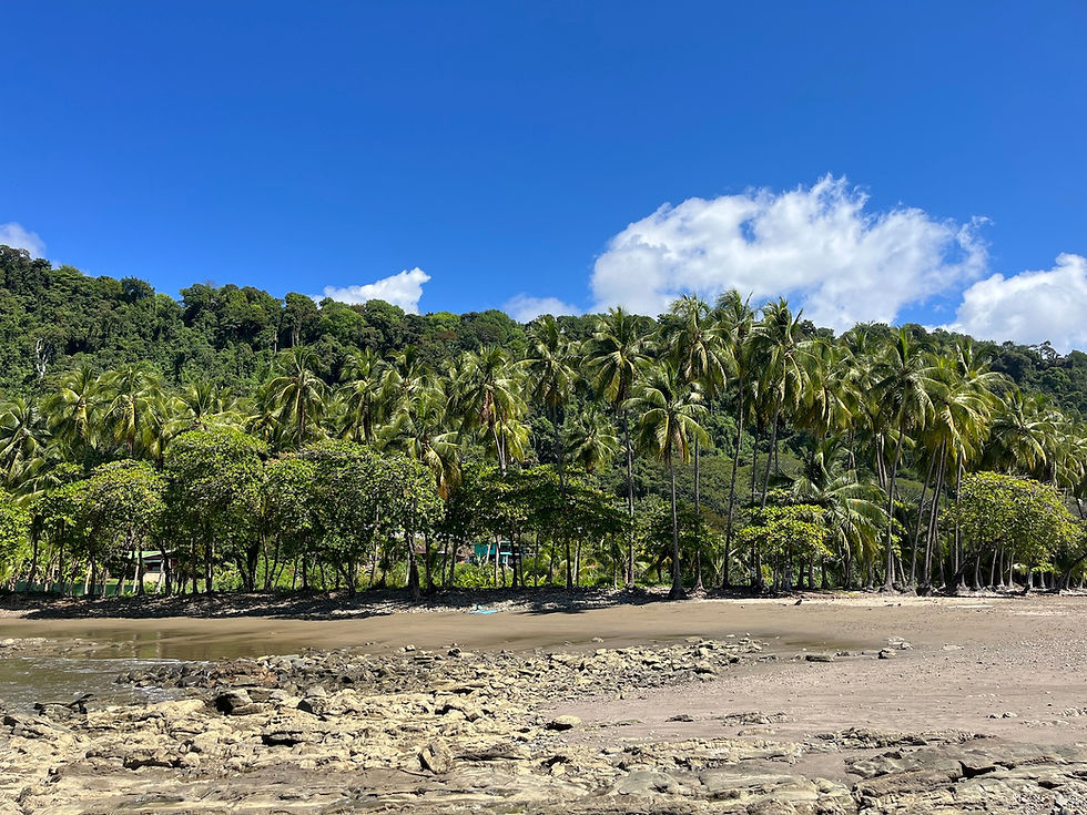 Plage de Dominicalito
