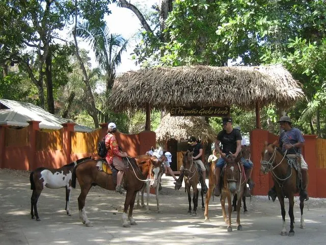 Hotel El Pequeño Gecko Verde