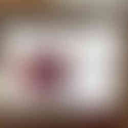 Niños que salvan la selva tropical rescataron animales