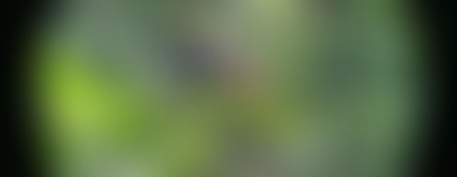 Tour de 2 días al Parque Nacional Corcovado