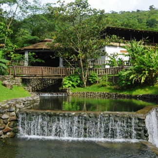 Rancho Margot