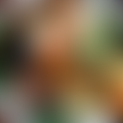 Cooking Class Manuel Antonio