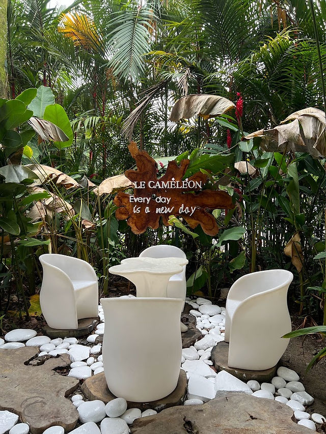 Hôtel Le Cameleon à Puerto Viejo