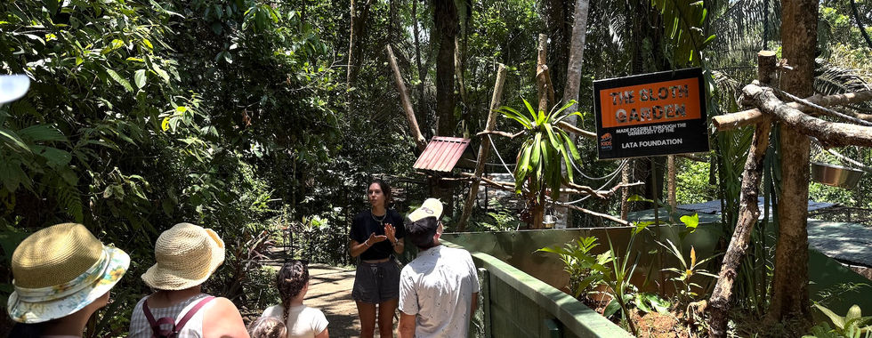 Jardín de perezosos Niños salvando la selva tropical