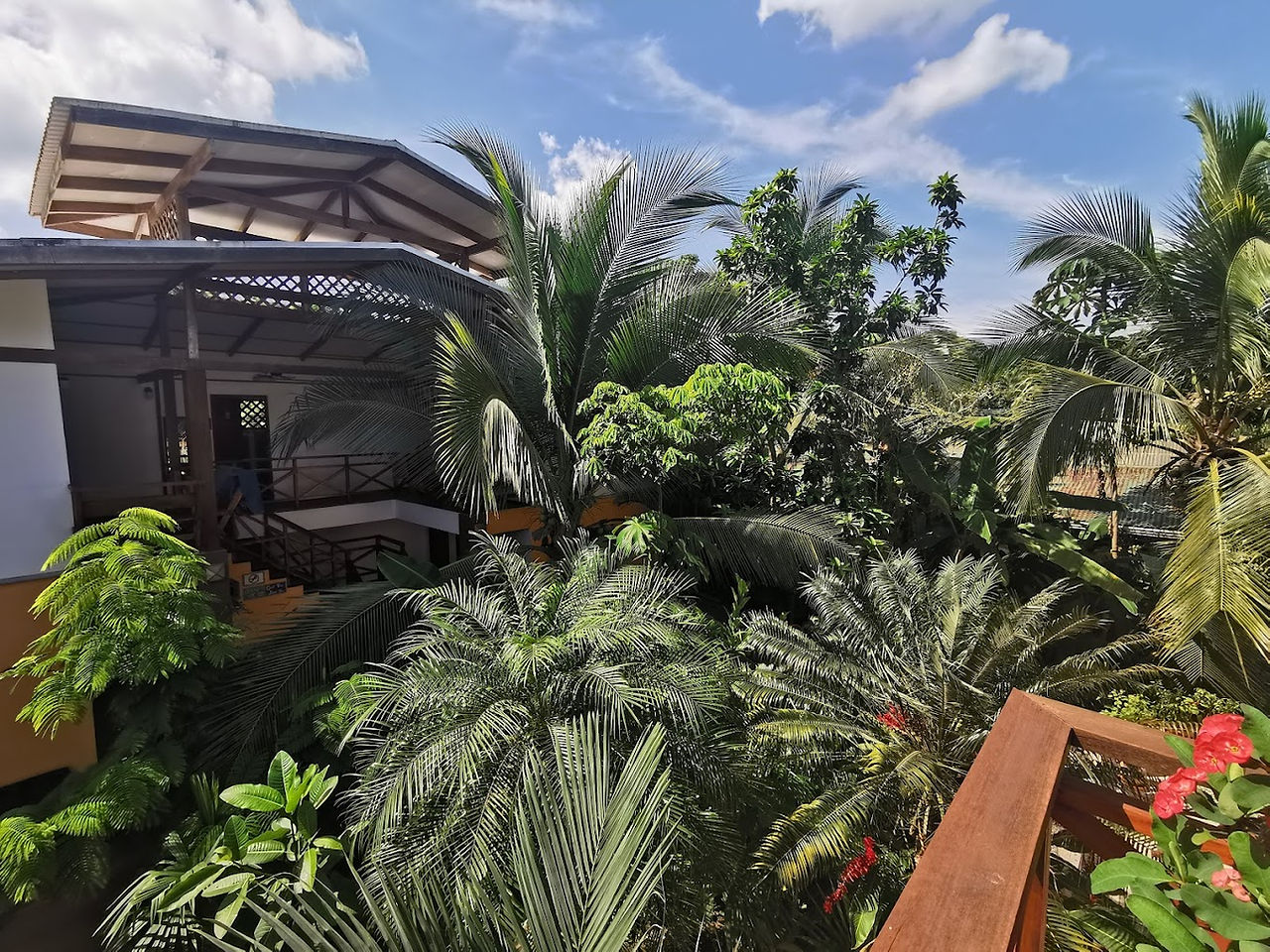 Auberge de jeunesse Pagalu à Puerto Viejo de Talamanca