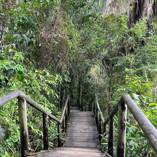 Parque Nacional Manuel Antonio