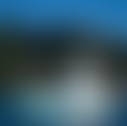 50ft Satis Fly – Offshore & Inshore Fishing