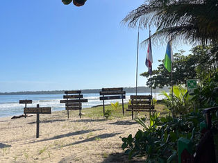 Parque Nacional Cahuita, Costa Rica: Guía de viaje completa (2026)