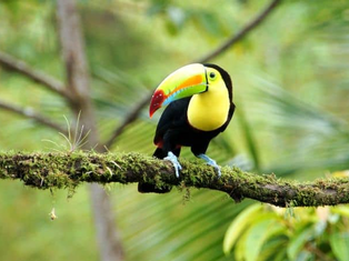Best time to visit Costa Rica for wildlife viewing