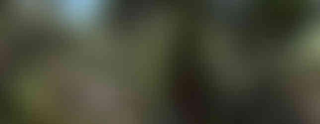 Perezosos Niños Salvando la Selva Tropical 