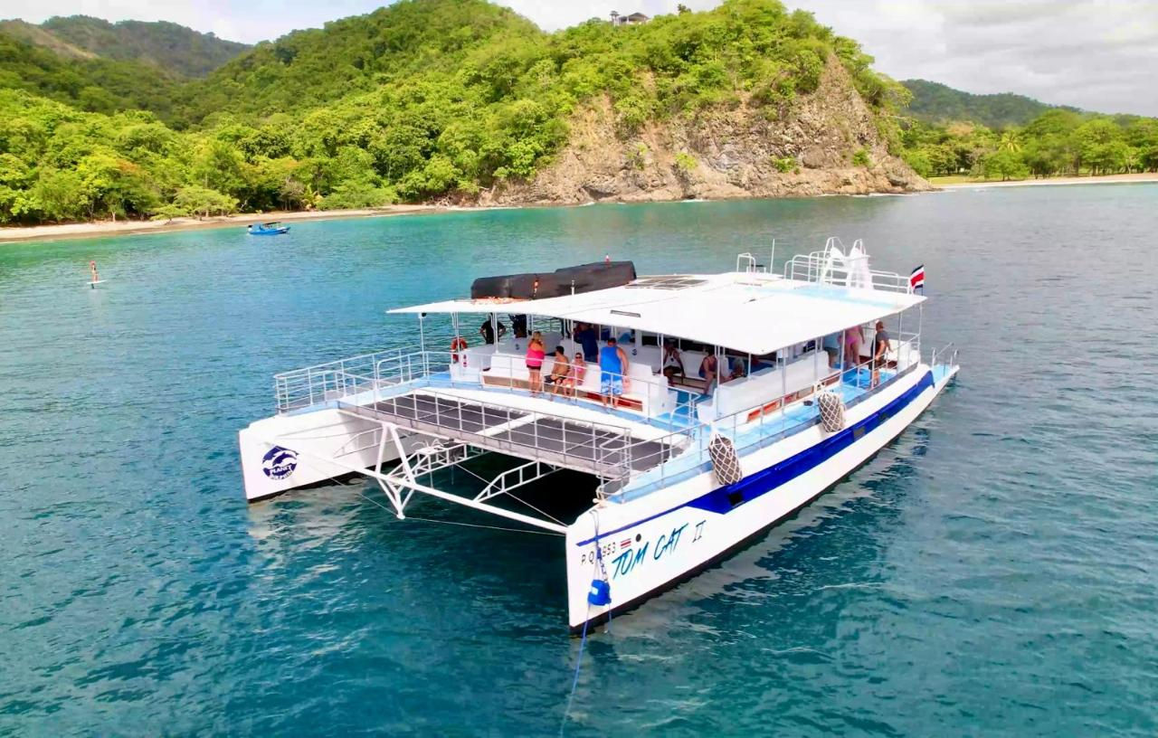 Boat Tour