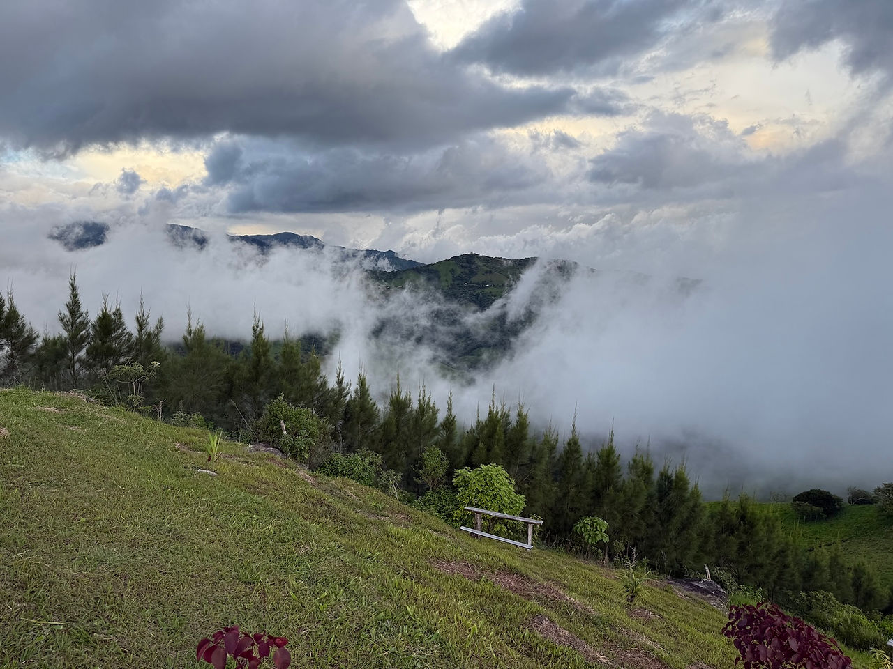 Cerro Pinocho Monteverde