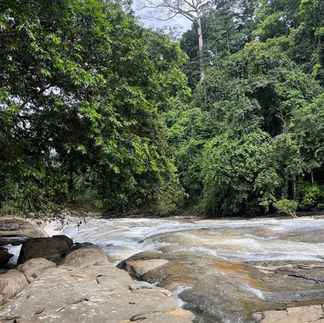 Nauyaca Waterfalls office