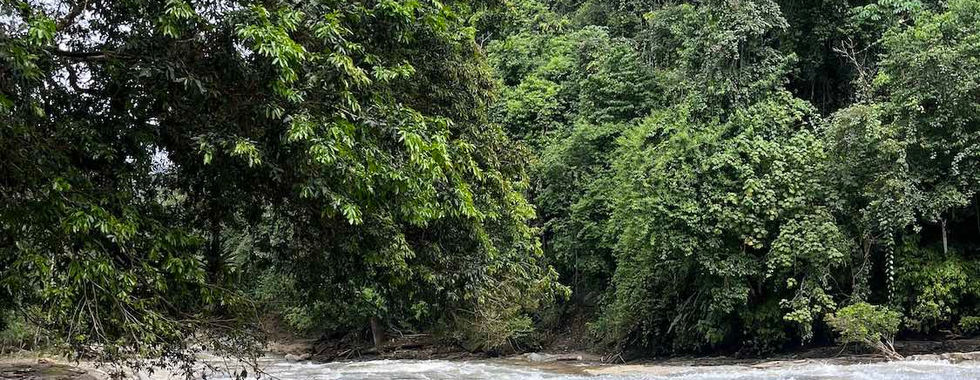 Cataratas de Nauyaca