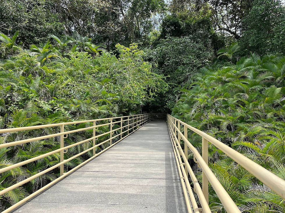 Sendero del Parque Nacional Manuel Antonio