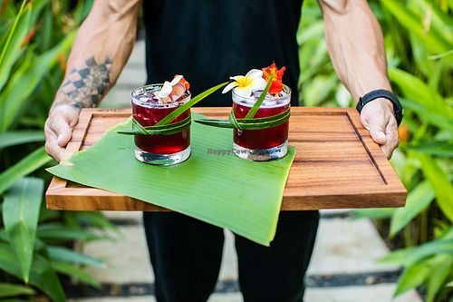 Mother Earth Vegan Hotel – Tamarindo