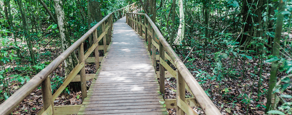Parque Nacional Manuel Antonio
