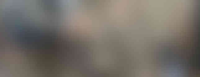 1‑Day Corcovado National Park Tour