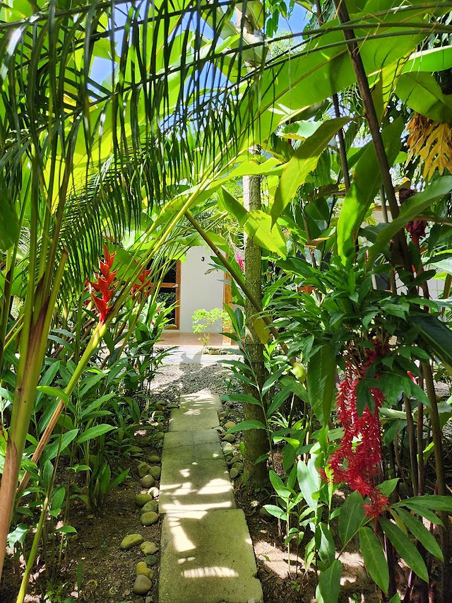 Hôtel Indalo Jungle and Beach à Puerto Viejo de Talamanca